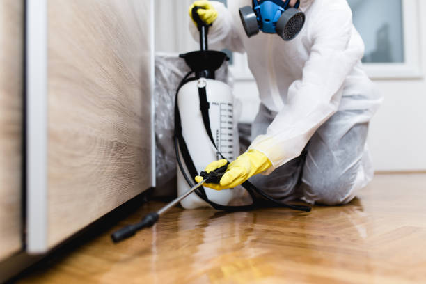 Best Affordable Pest Control Services  in Columbus, MT