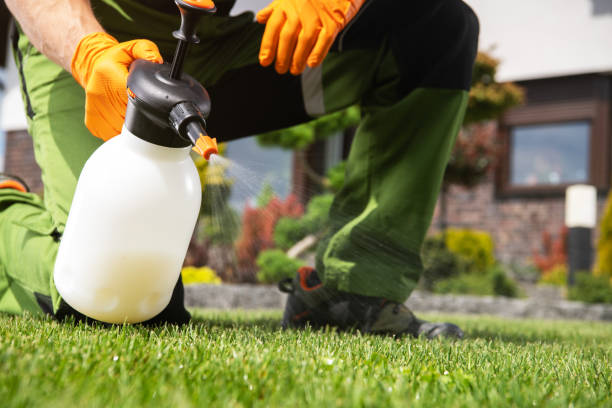 Best Wasp Removal Services  in Columbus, MT
