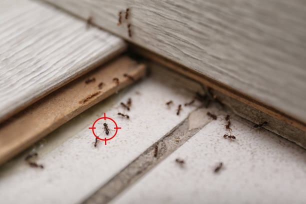  Columbus, MT Pest Control Pros