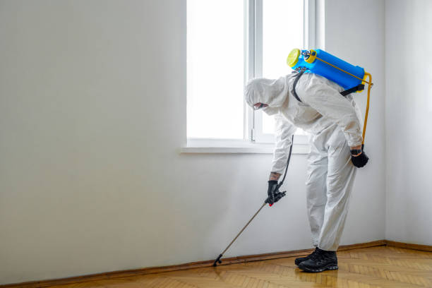 Professional Pest Control in Columbus, MT