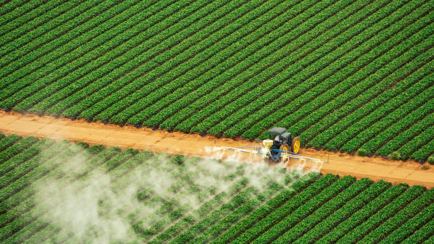 Best Ant Control Services  in Columbus, MT