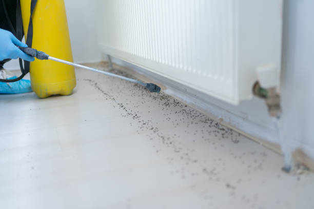 Best Emergency Pest Control  in Columbus, MT