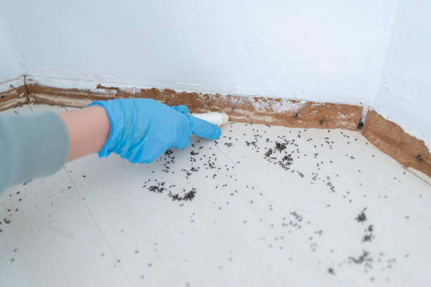 Best Wildlife Control Services  in Columbus, MT