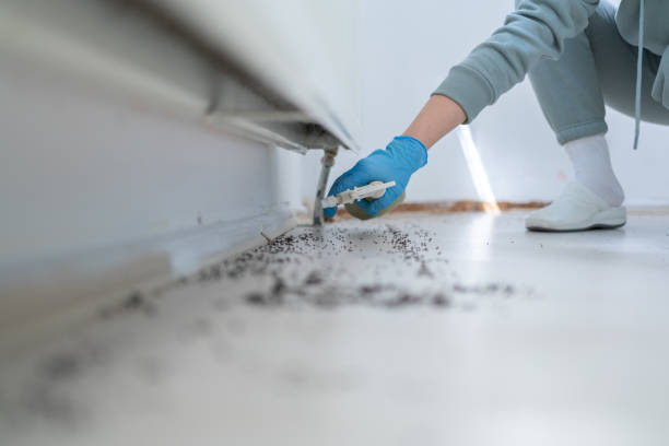 Best Pest Prevention Services  in Columbus, MT