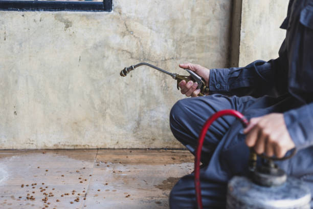 Best Flea Control Services  in Columbus, MT